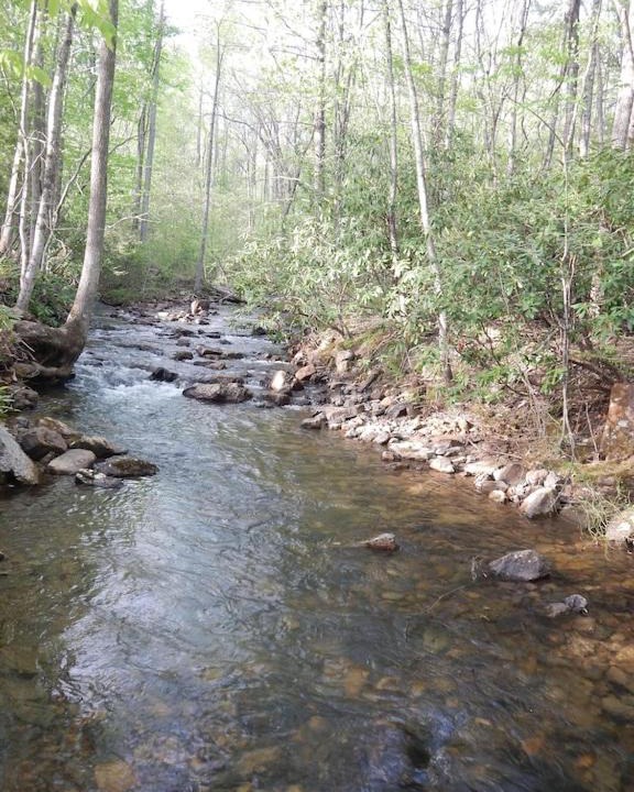 Photo of Others in Kellysville