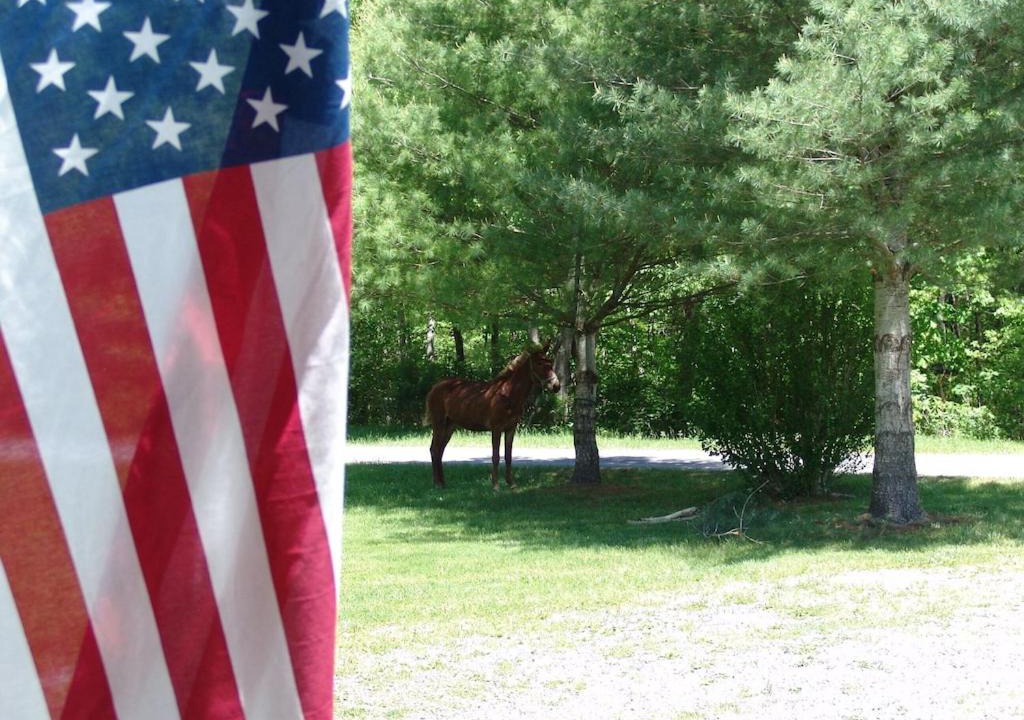 Photo of Others in Kellysville