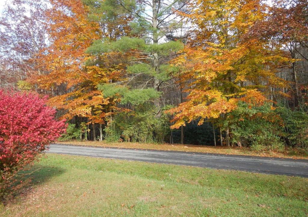 Photo of Others in Kellysville