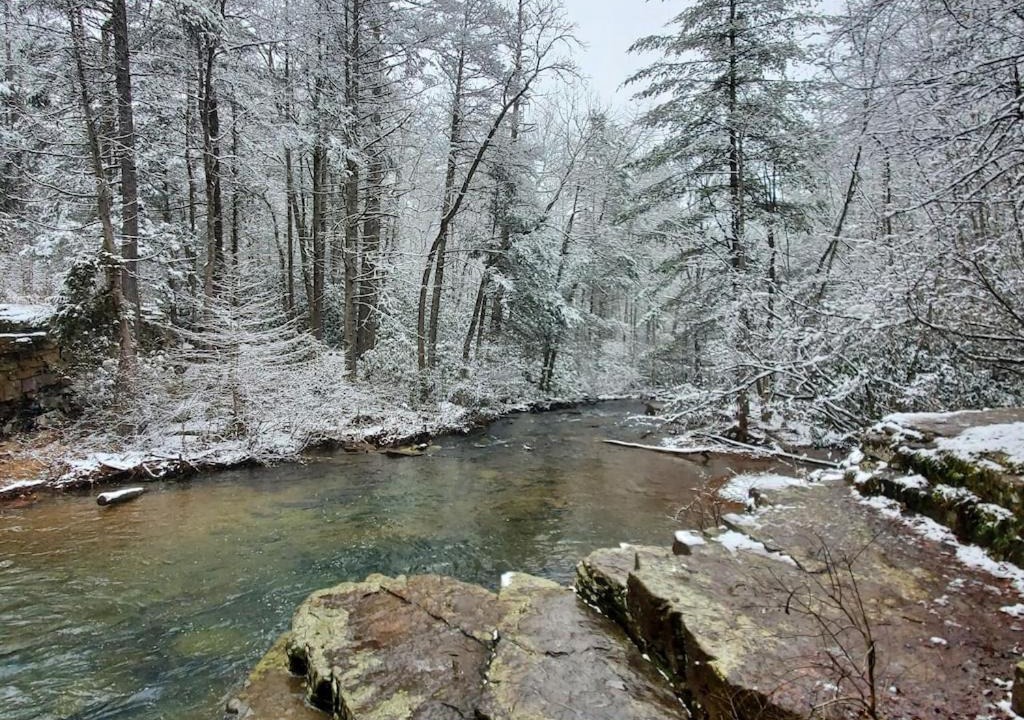 Photo of Others in Kellysville