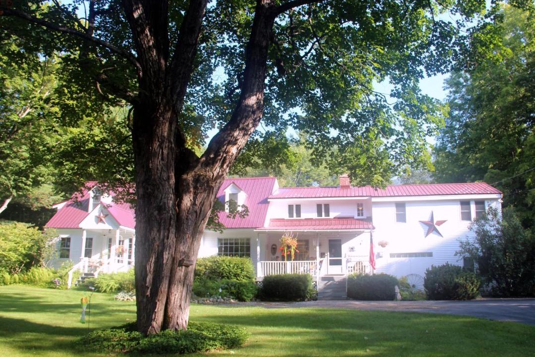 Photo of Others in Intervale