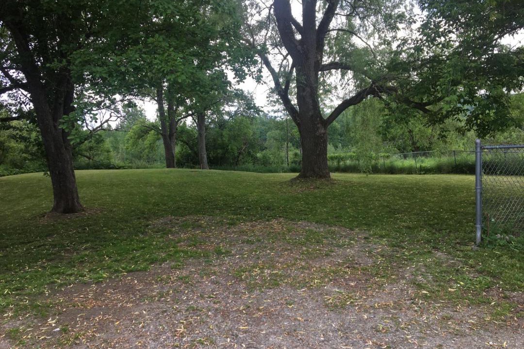 Photo of Others in North Troy