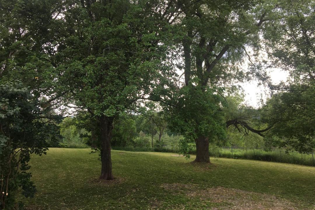 Photo of Others in North Troy