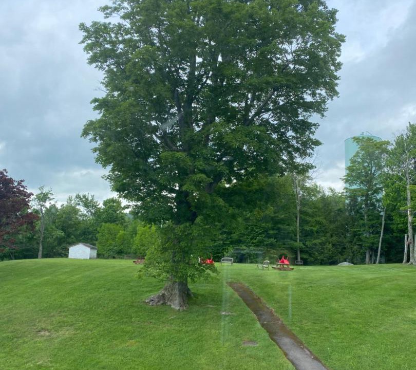 Photo of Others in Tannersville