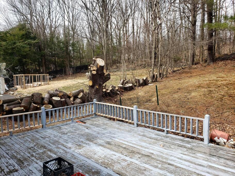 Photo of Others in Monticello