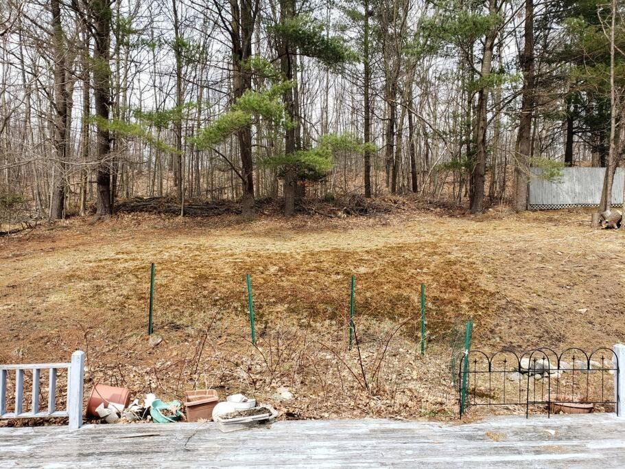 Photo of Others in Monticello