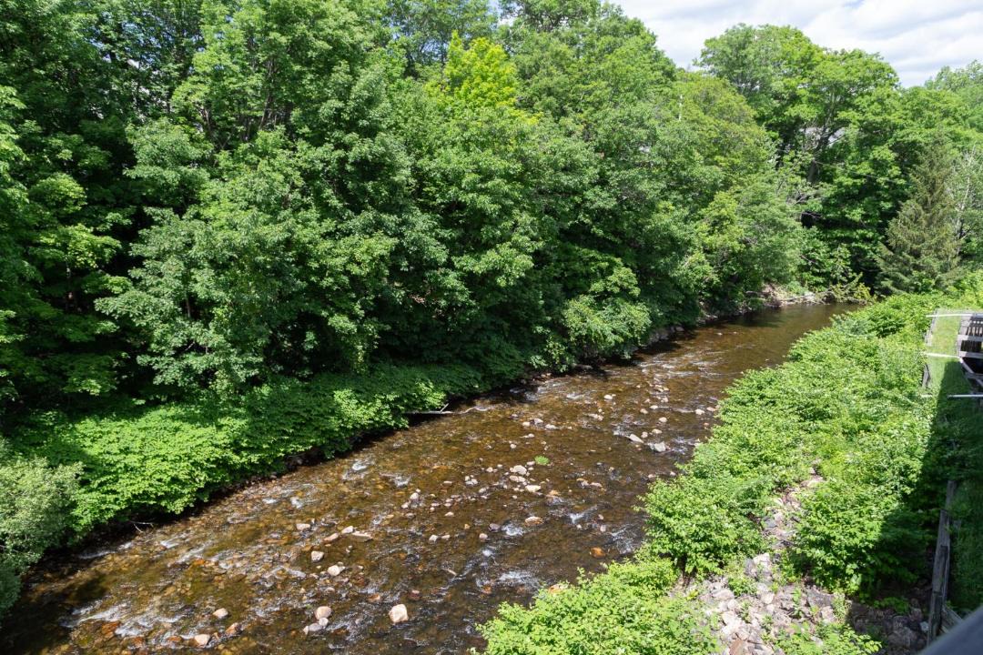 Photo of Others in Ludlow