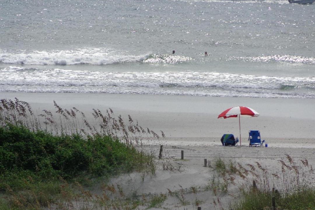 Photo of Others in Shell Island
