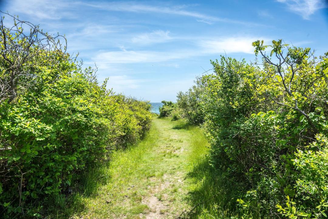 Photo of Others in Montauk