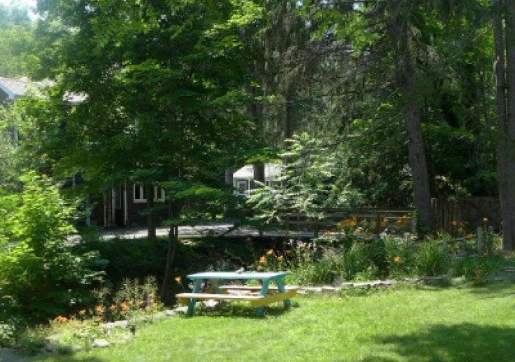 Photo of Others in Woodstock