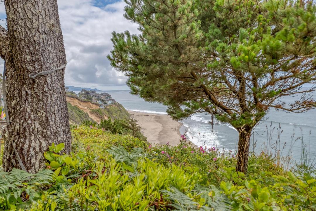 Photo of Others in Lincoln City