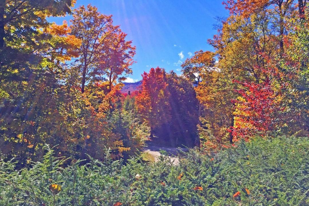 Photo of Outdoor in Killington