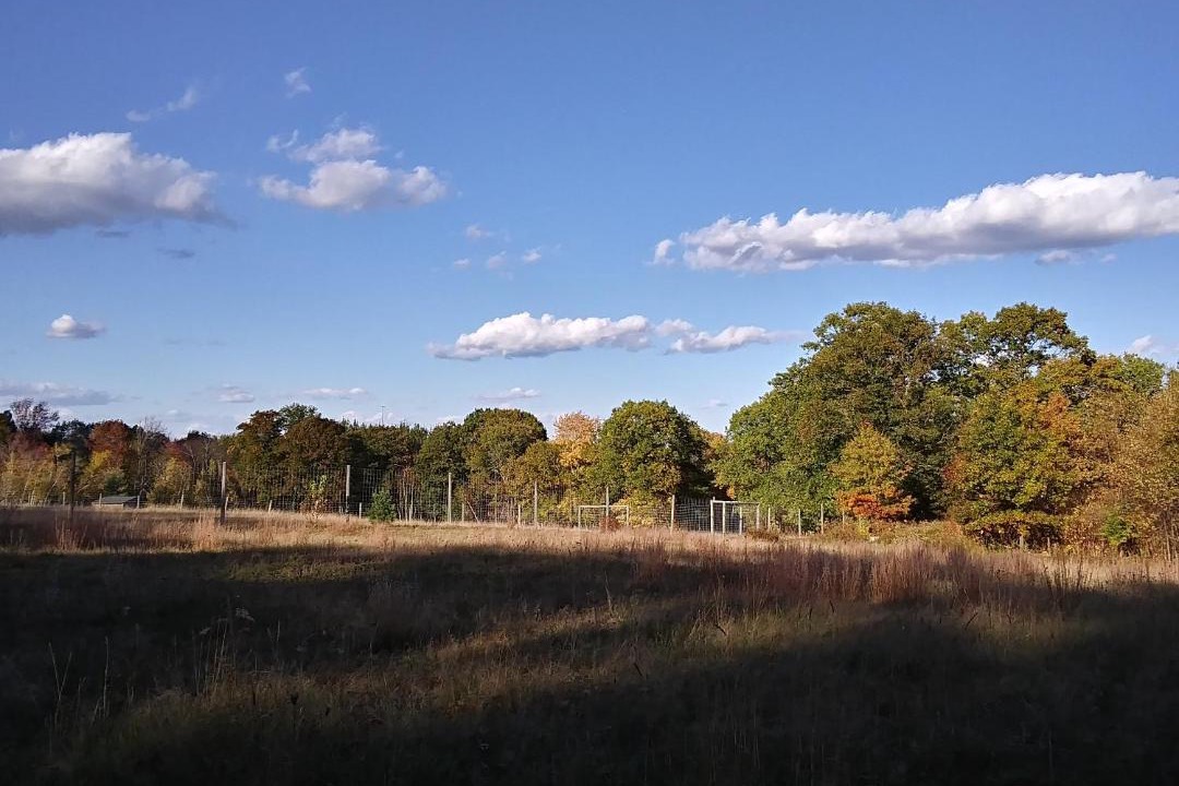 Photo of Outdoor in Hollis Center