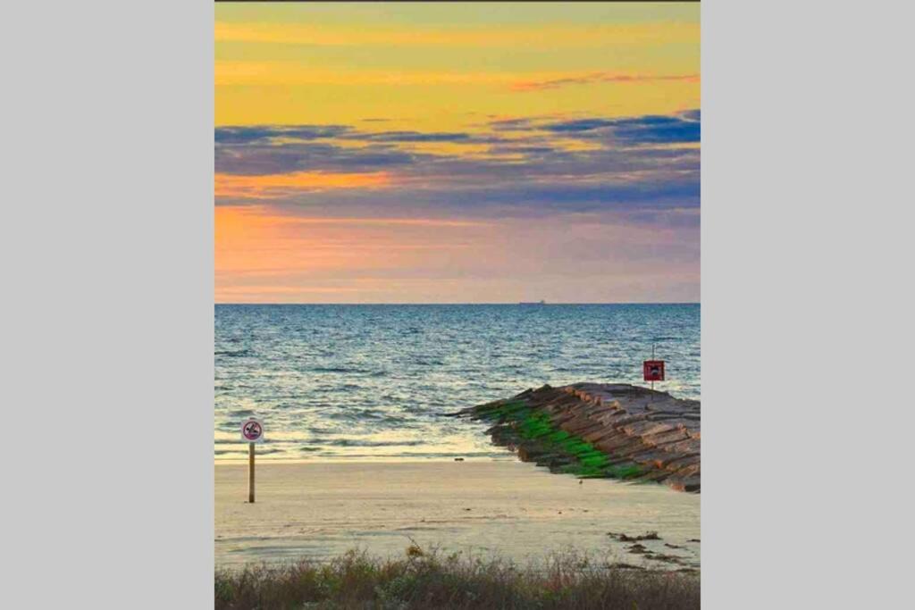 Photo of Others in Galveston