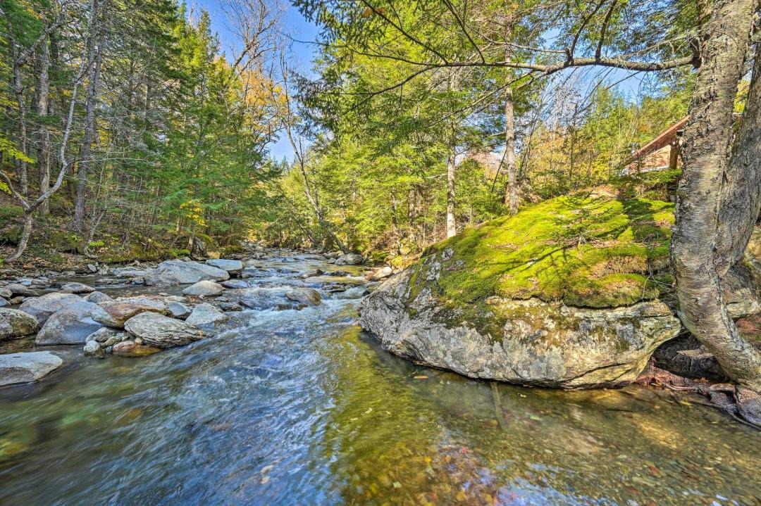 Photo of Others in Stowe Area