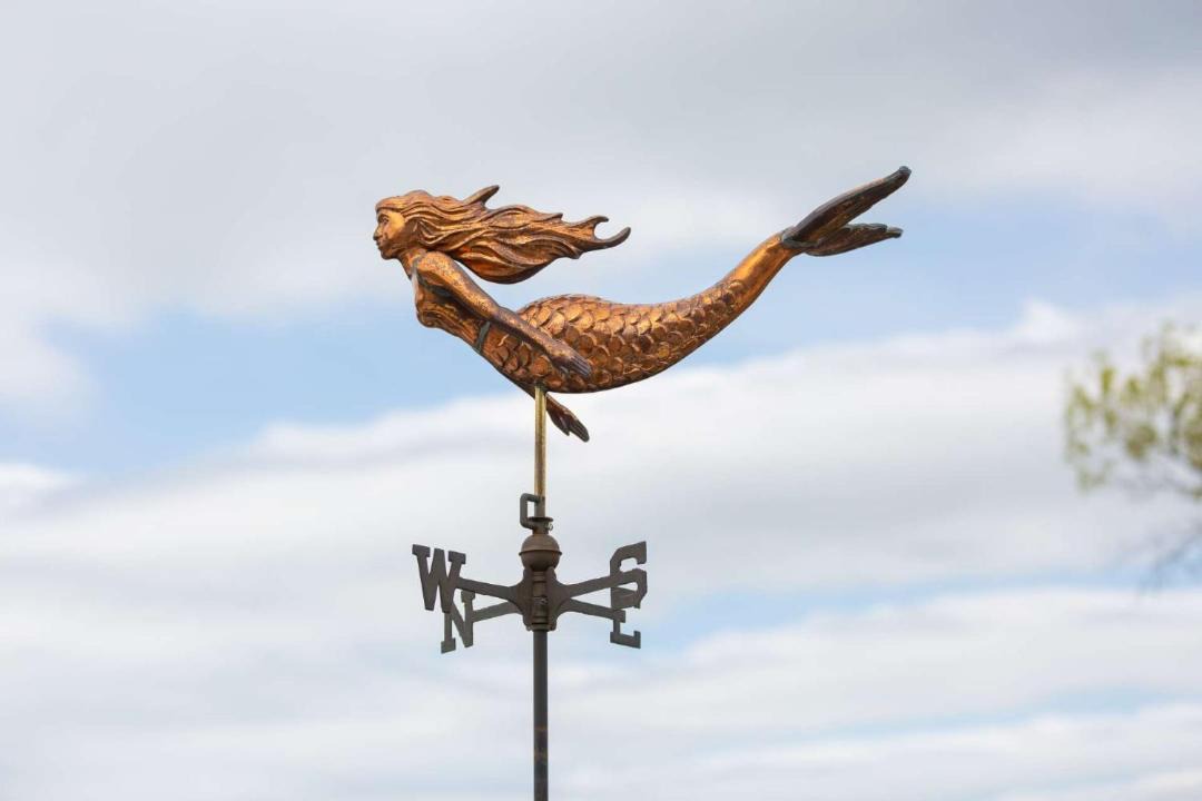 Photo of Others in Newburyport