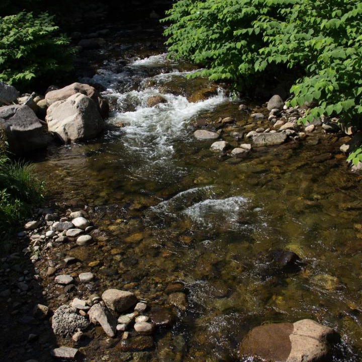 Photo of Others in Lake George