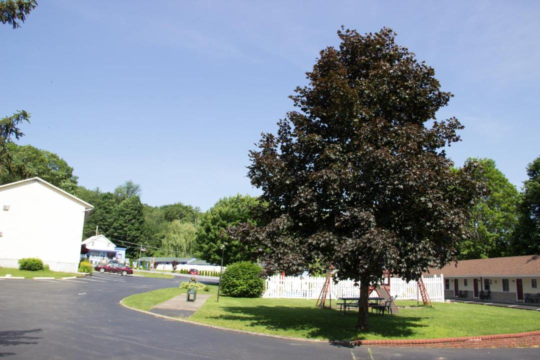 Photo of Others in Lake George