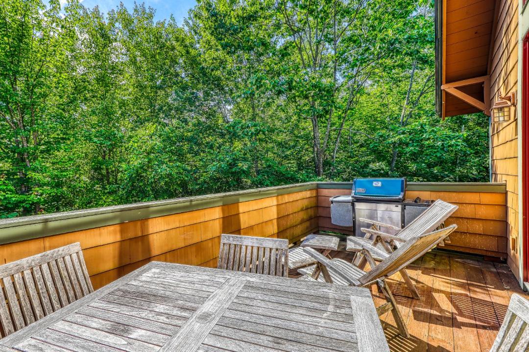 Photo of Patio Balcony in Proctorsville