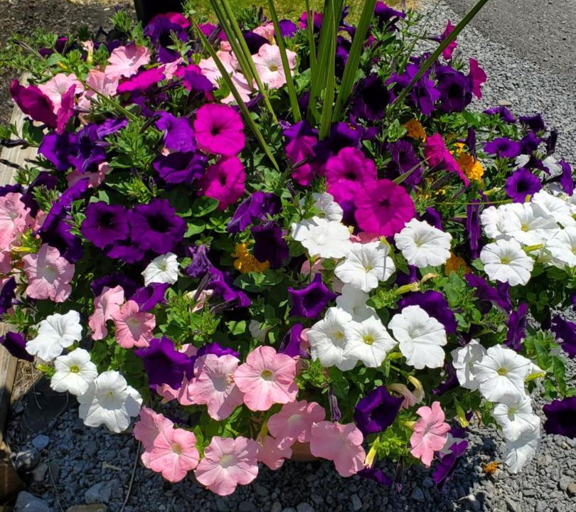 Photo of Outdoor in Cooperstown - Otsego Lake