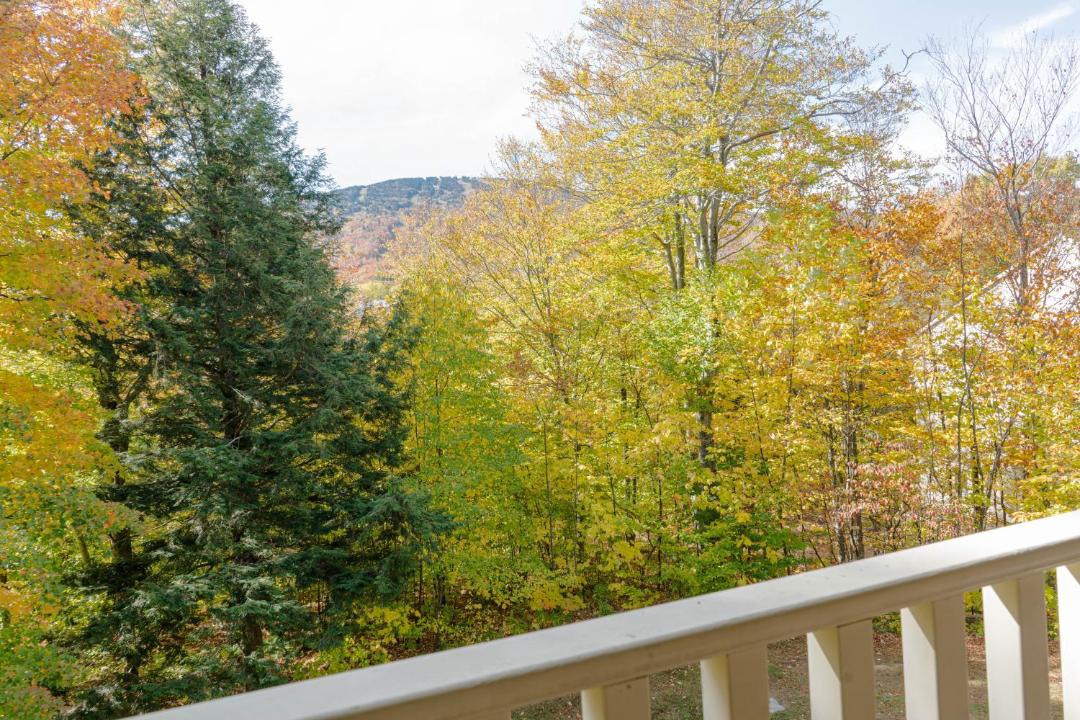 Photo of Others in Stratton Mountain