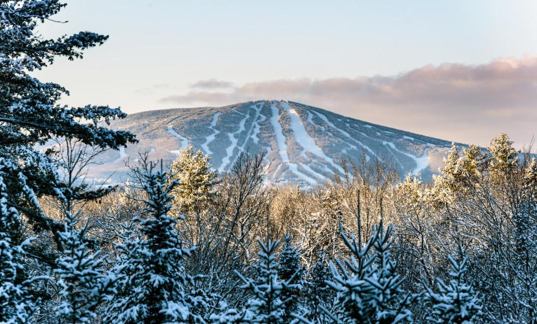 Photo of Others in Stratton Mountain