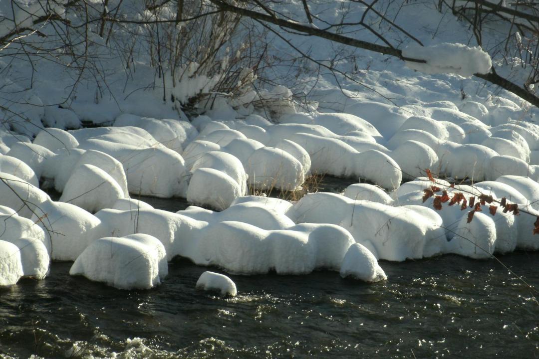 Photo of Others in Windham