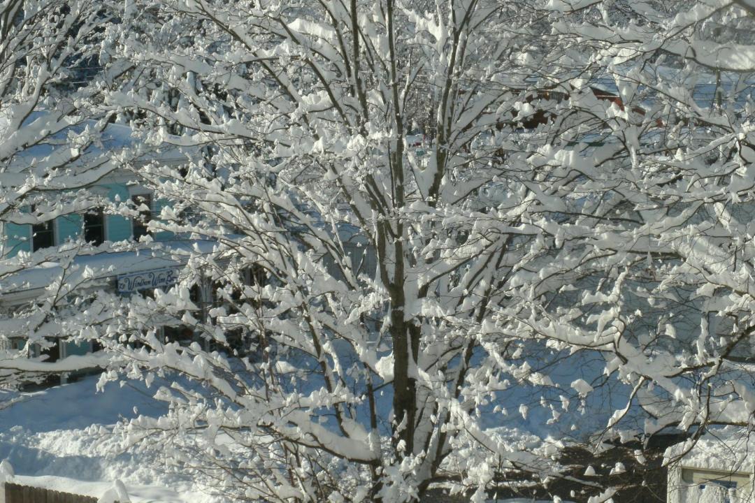 Photo of Others in Windham