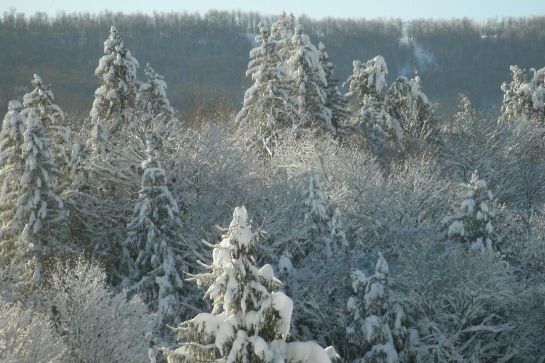 Photo of Others in Windham