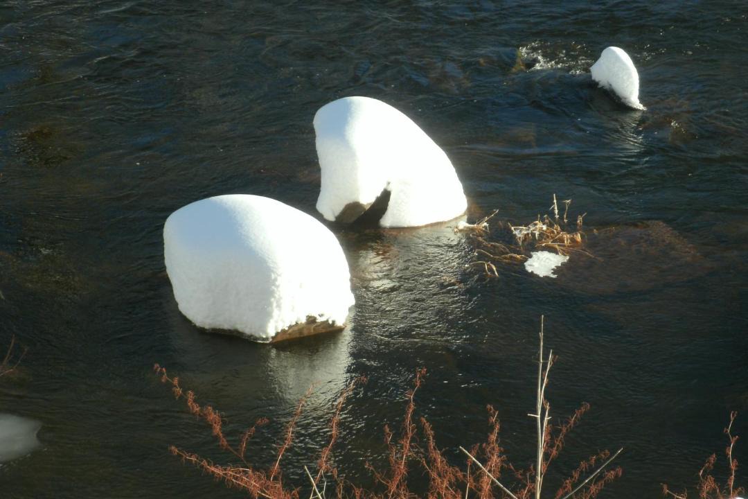 Photo of Others in Windham