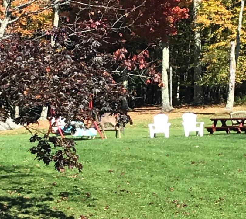 Photo of Others in Tannersville