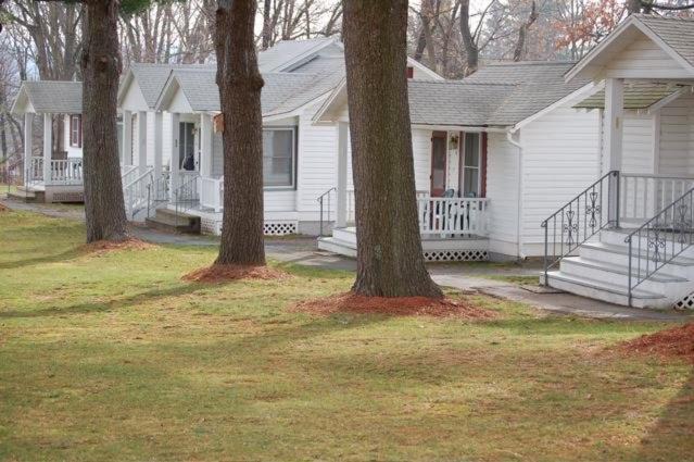 Photo of Others in Milford