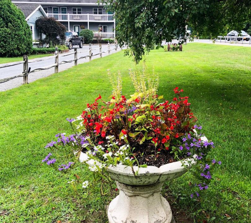Photo of Others in Lake George