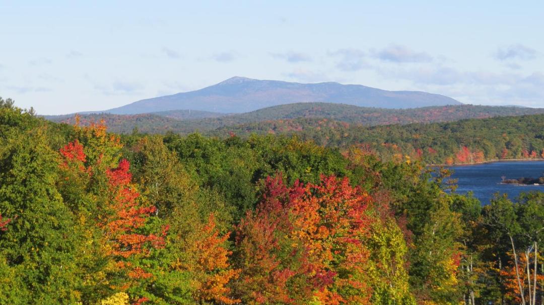 Photo of Others in Ashburnham