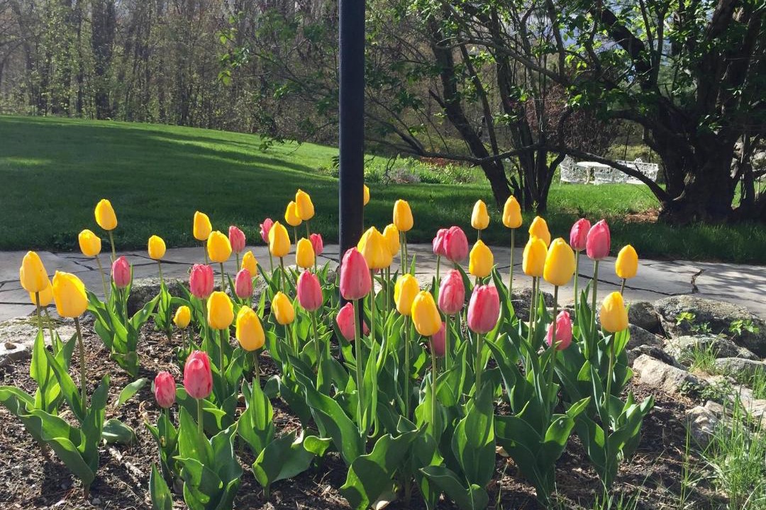 Photo of Outdoor in Ashburnham