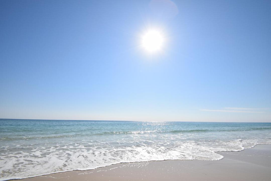 Photo of Others in Gulf Shores