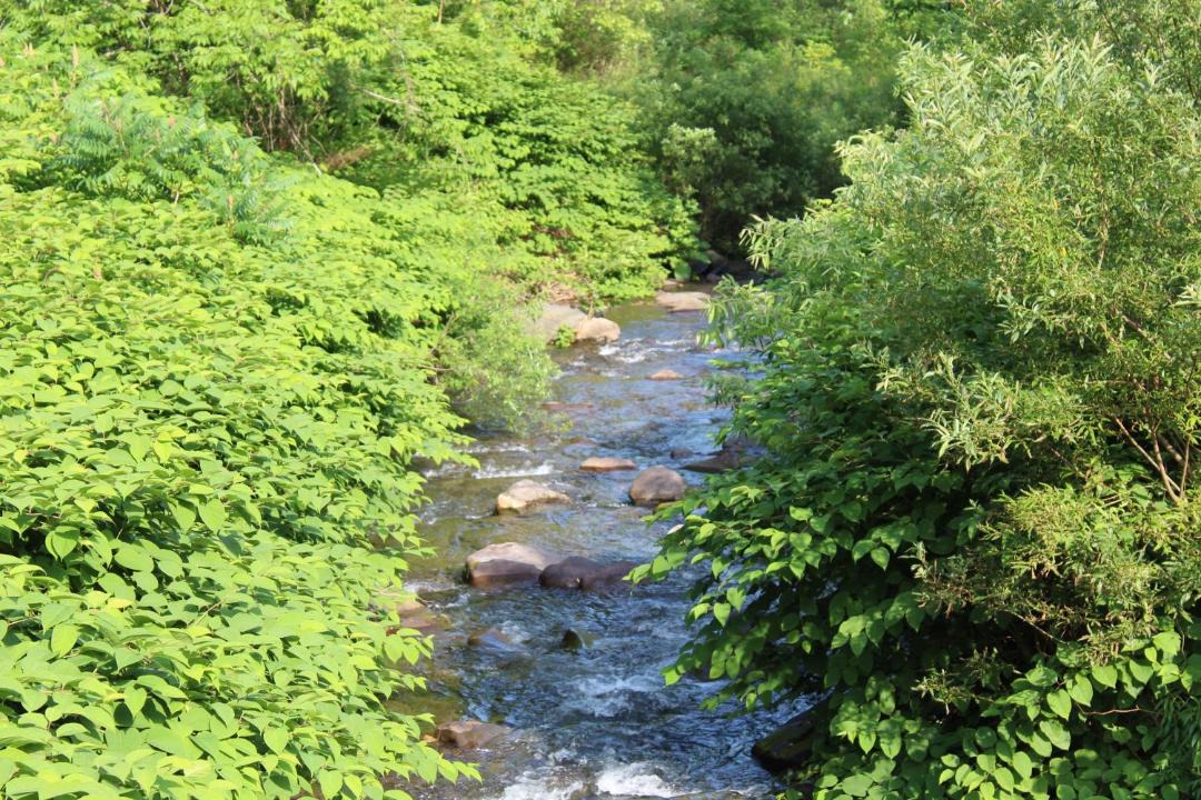 Photo of Others in Shandaken