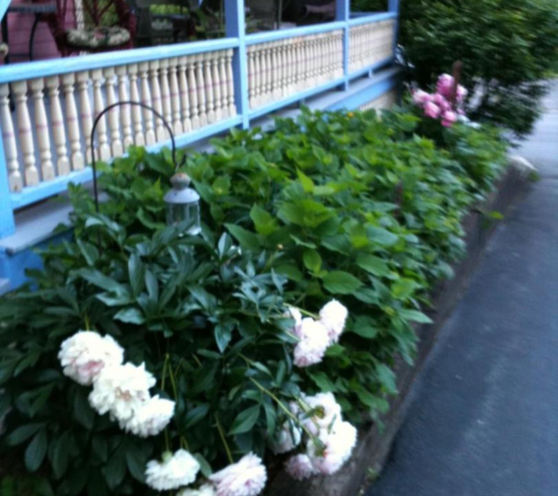 Photo of Others in Cooperstown