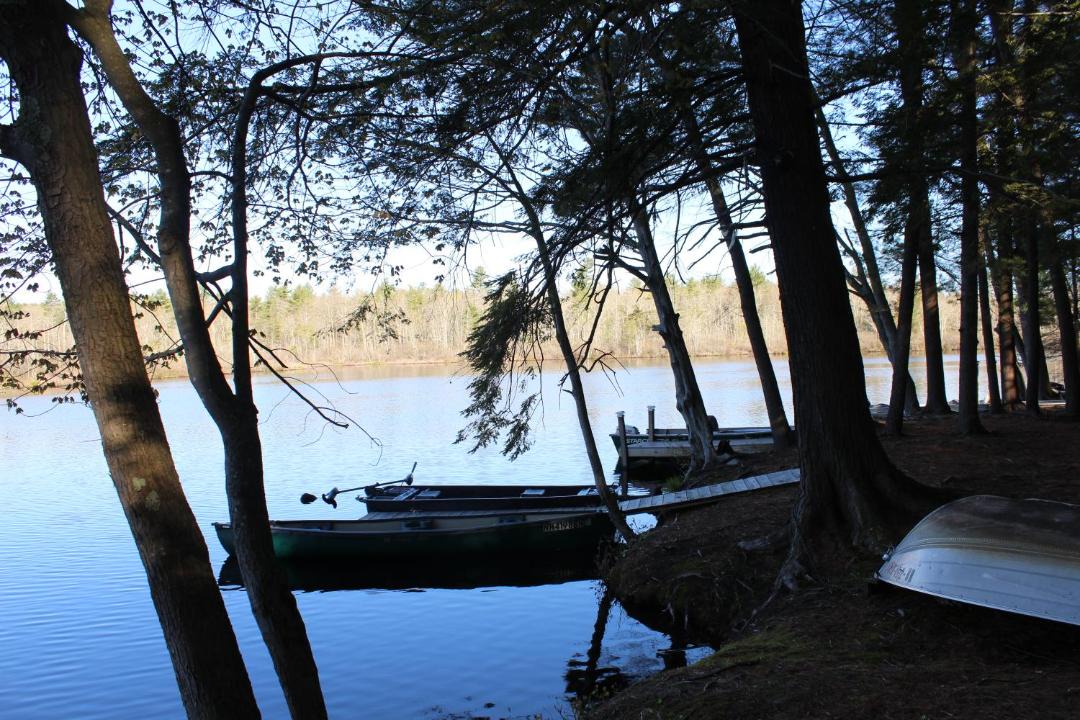 Photo of Others in South Hampton