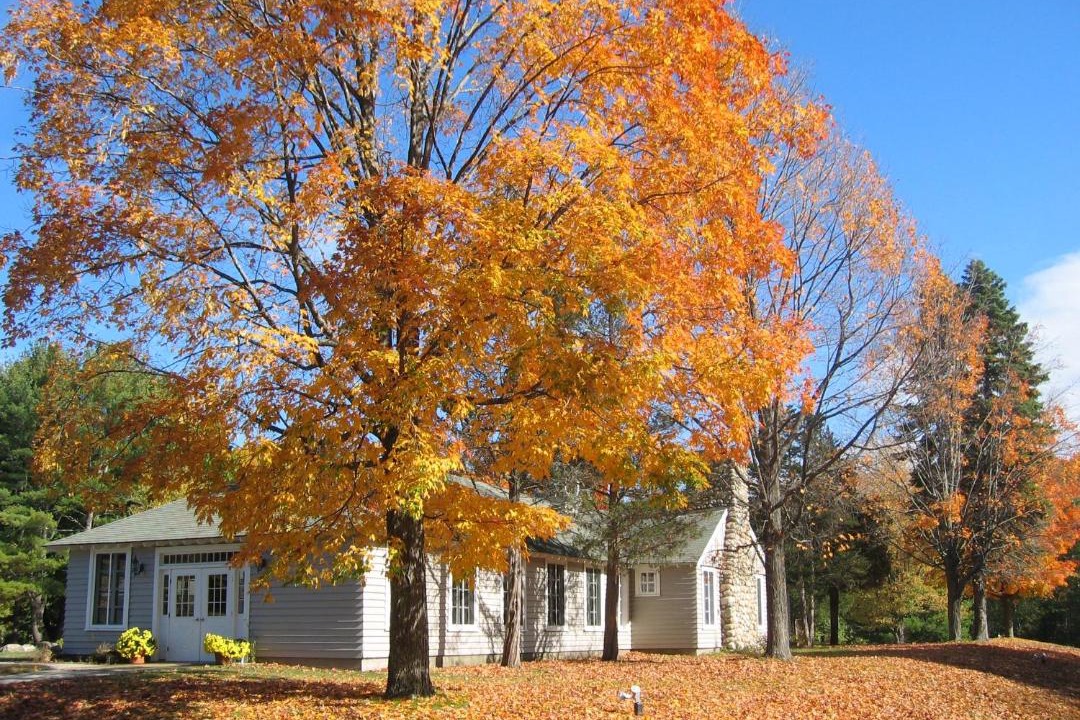Photo of Others in South Hampton