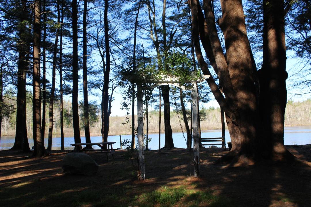 Photo of Others in South Hampton