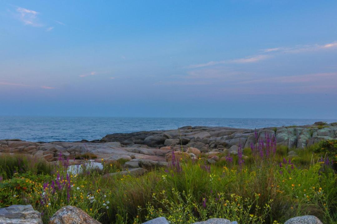 Photo of Others in York Beach