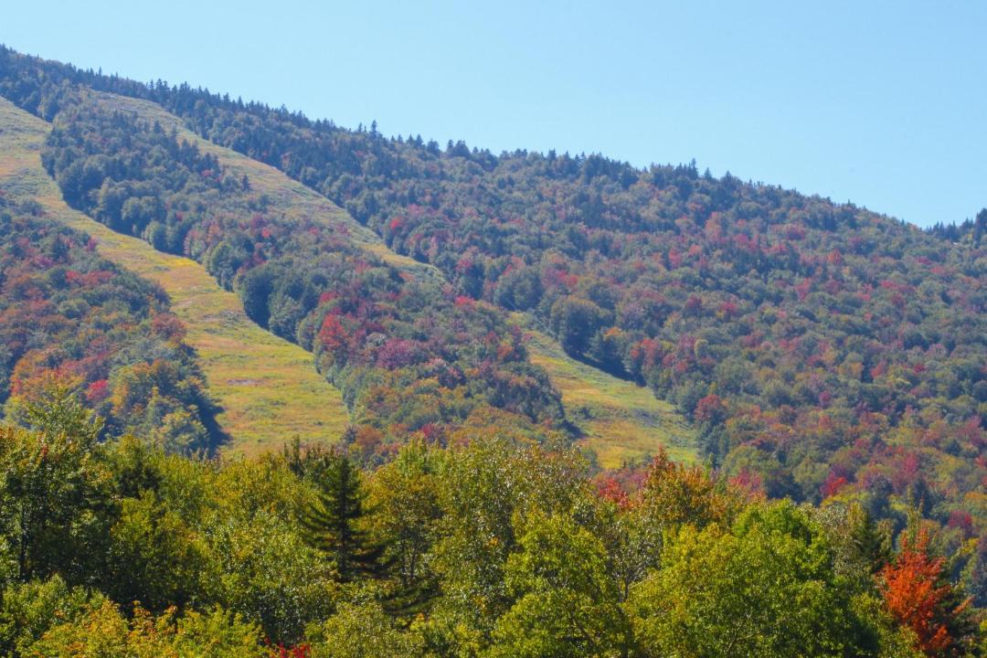 Photo of Others in Sunday River Area