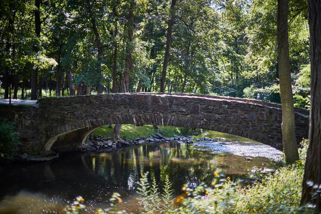 Photo of Others in Amenia