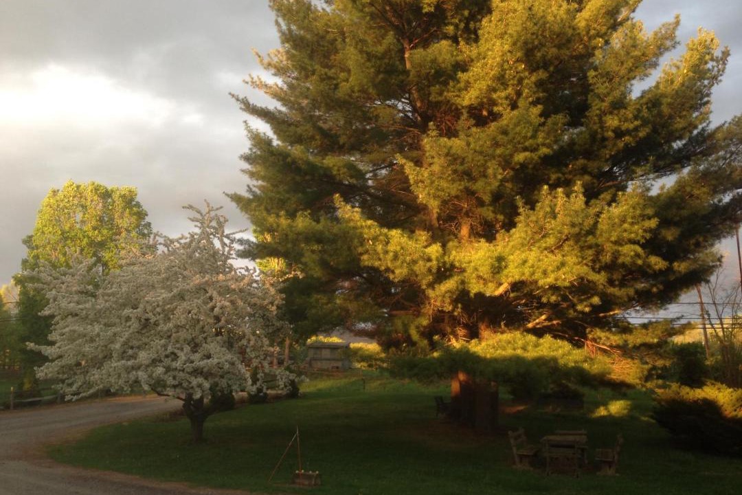 Photo of Others in Bennington