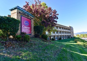 Comfort Suites Inn at Ridgewood Farm