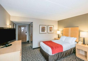 Comfort Inn Syracuse Fairgrounds
