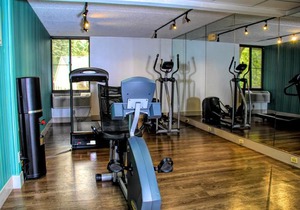 Holiday Inn Express Rochester - Greece