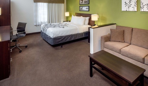 Suite, 1 Queen Bed with Sofa bed, Accessible, Non Smoking
