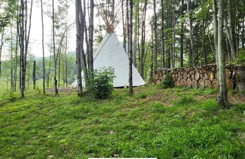 Williamstown Cabin | Lodges @ Tamias Post